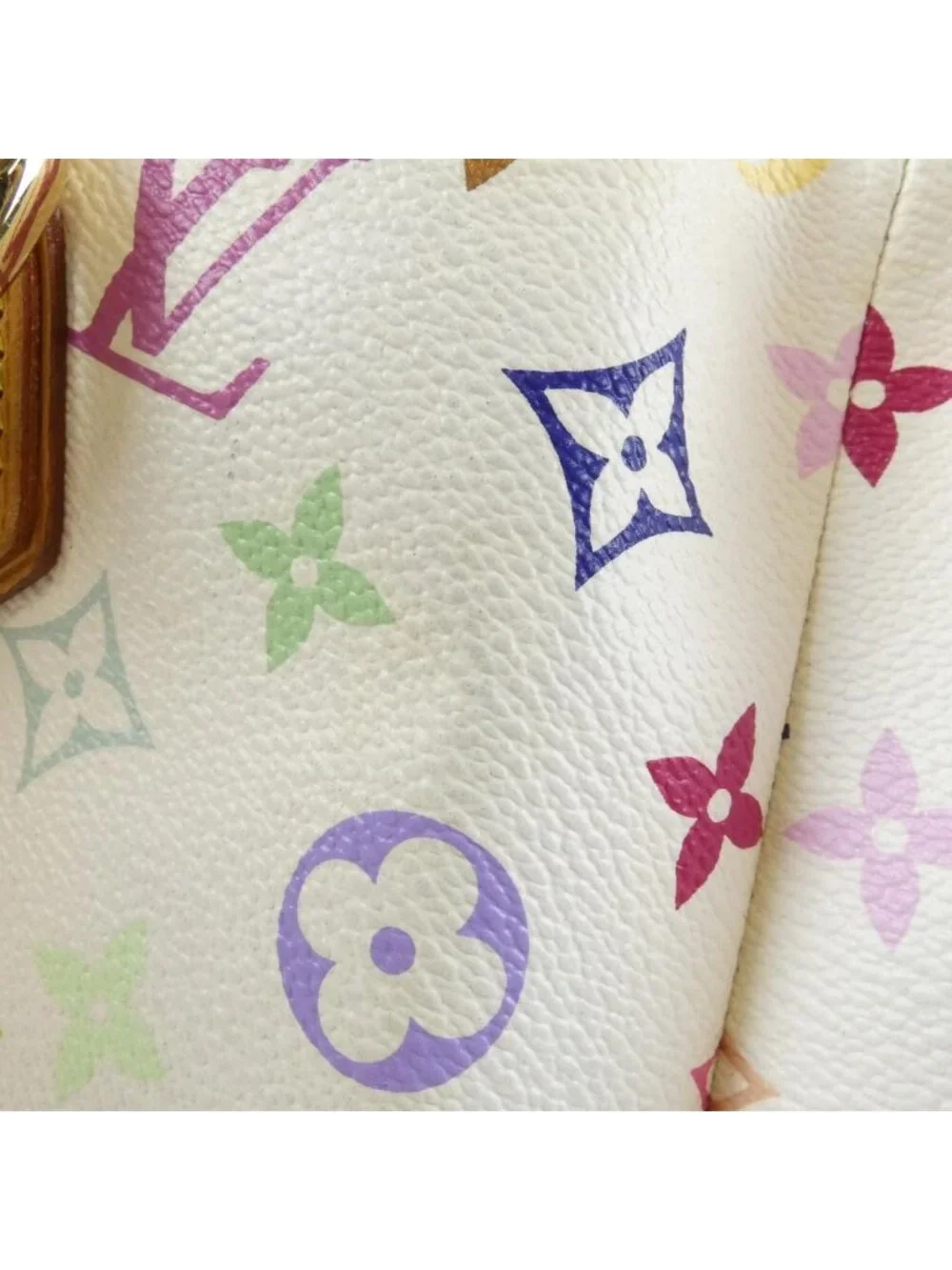 Louis Vuitton Multicolor Audra Bag